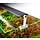 Chihiros A2 451 (A II 451) LED - 45cm