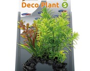 Deco plant