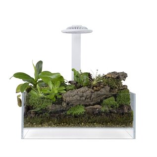 Wabi Kusa Bio Air Tank