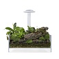 Wabi Kusa Bio Air Tank