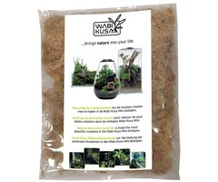 Wabi Kusa Wabi Kusa moss