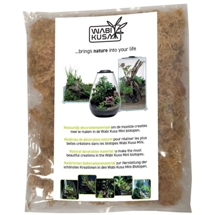 Wabi Kusa Wabi Kusa moss