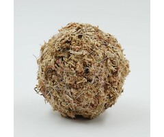 OPAquatics Dirt Ball mini