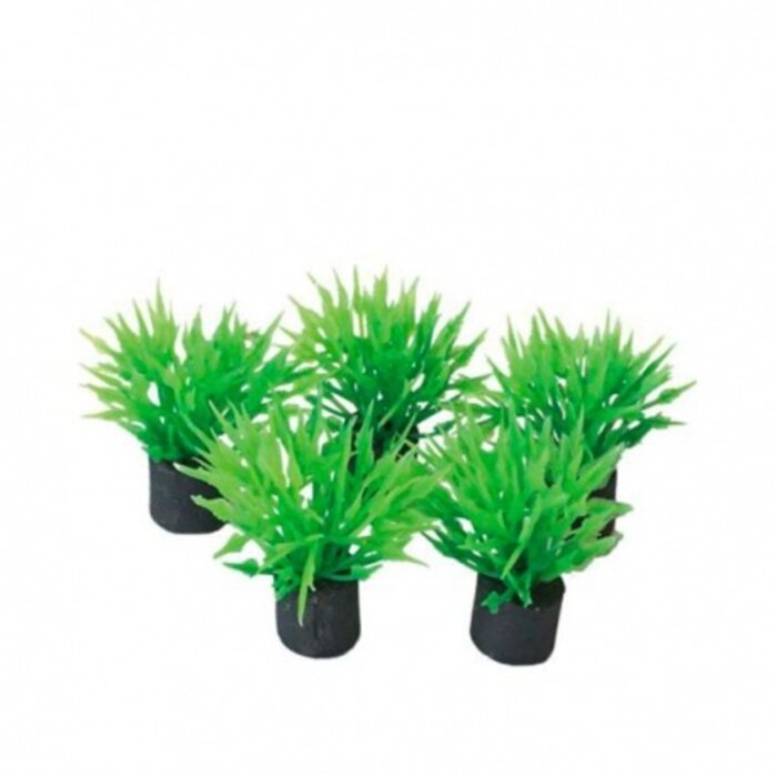 SuperFish SuperFish Easy Plants Nano plug 2 cm - 5 Stück