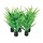 SuperFish Easy Plants Nano plug 8 cm - 5 stuks