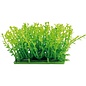 SuperFish SuperFish Easy Plants Carpet M - 3 cm