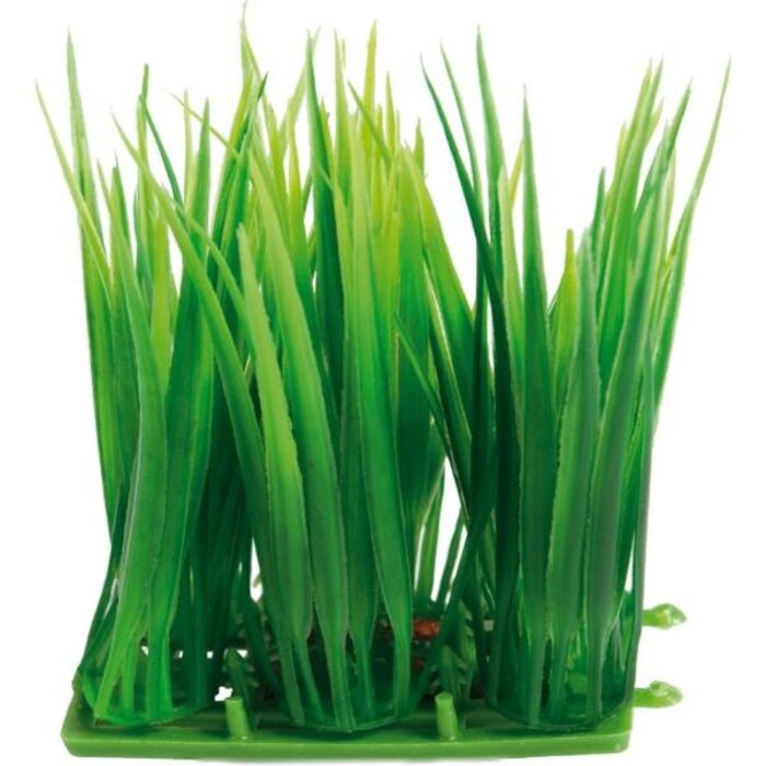 SuperFish SuperFish Easy Plants Carpet L - 6 cm