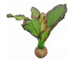 SuperFish SuperFish Easy Plant Silk 13 cm - nr3