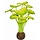 SuperFish Easy Plant Seide 13 cm - nr5
