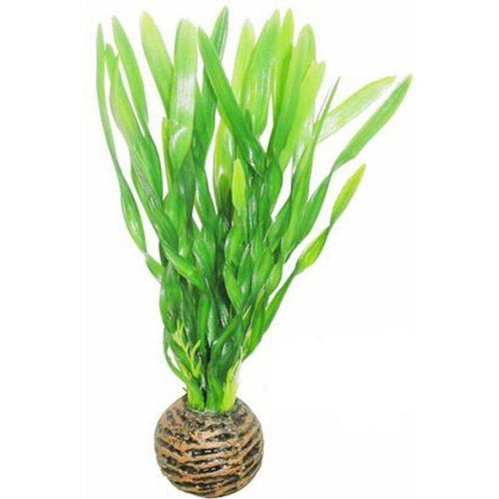 SuperFish SuperFish Easy Plant 13 cm - nr6