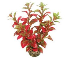 SuperFish SuperFish Easy Plant Niedrig 13 cm - nr7