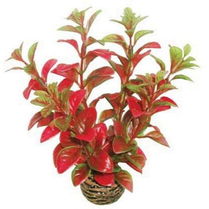 SuperFish SuperFish Easy Plant Low 13 cm - nr7