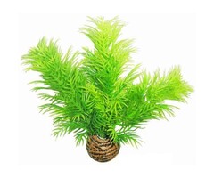 SuperFish SuperFish Easy Plant Low 13 cm - nr9