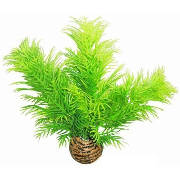 SuperFish SuperFish Easy Plant Niedrig 13 cm - nr9