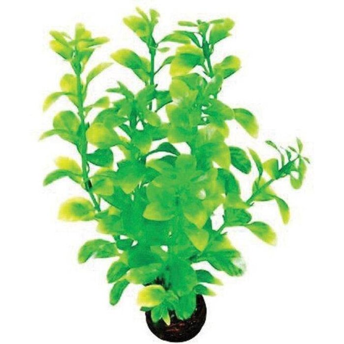 SuperFish SuperFish Easy Plant Medium 20 cm - nr2
