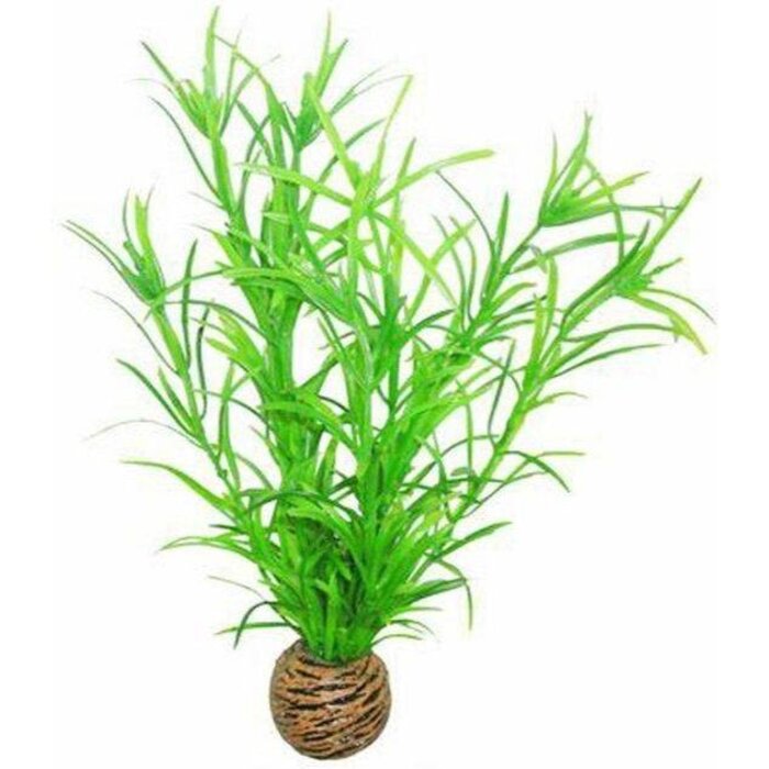 SuperFish SuperFish Easy Plant Middel 20 cm - nr3