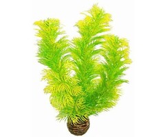 SuperFish SuperFish Easy Plant Middel 20 cm - nr5