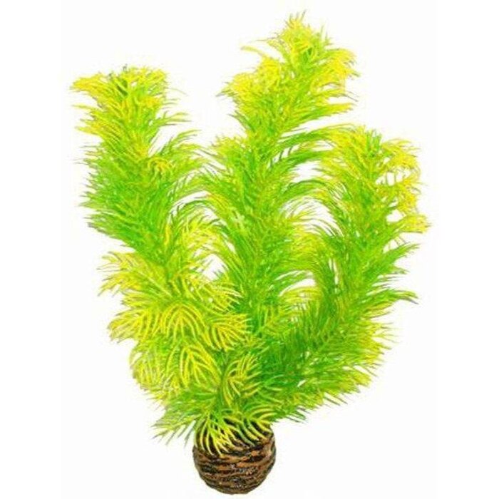 SuperFish SuperFish Easy Plant Medium 20 cm - nr5