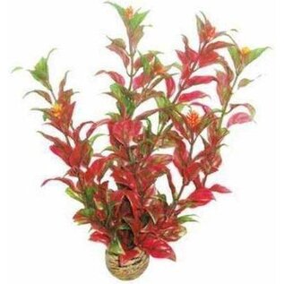 SuperFish SuperFish Easy Plant Medium 20 cm - nr6