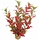 SuperFish Easy Plant Middel 20 cm - nr6