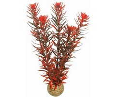 SuperFish SuperFish Easy Plant Medium 20 cm - nr7