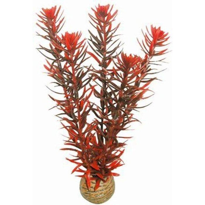 SuperFish SuperFish Easy Plant Medium 20 cm - nr7