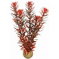 SuperFish SuperFish Easy Plant Medium 20 cm - nr7
