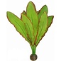 SuperFish SuperFish Easy Plant Zijde 20 cm - nr 12