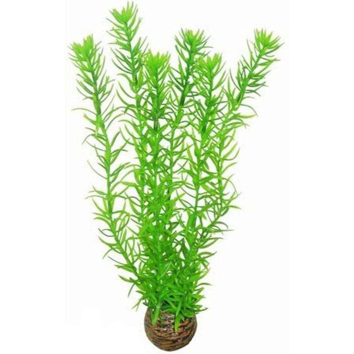 SuperFish SuperFish Easy Plant Hoog 30 cm - nr1