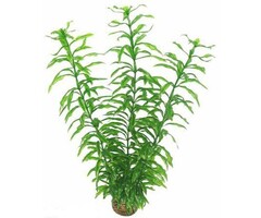 SuperFish SuperFish Easy Plant Tall 30 cm - nr2