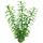 SuperFish Easy Plant High 30 cm - nr2