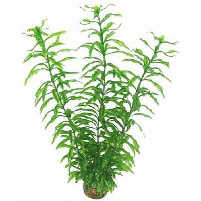 SuperFish SuperFish Easy Plant Hoch 30 cm - nr2