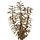 SuperFish Easy Plant High 30 cm - nr3