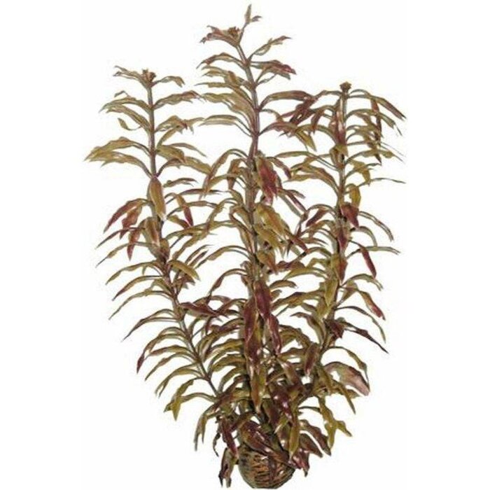 SuperFish SuperFish Easy Plant Hoch 30 cm - nr3