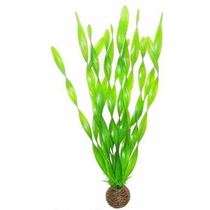 SuperFish SuperFish Easy Plant Hoog 30 cm - nr6