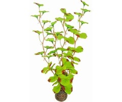SuperFish SuperFish Easy Plant Seide 30 cm - nr 13