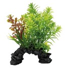 SuperFish SuperFish Deco Plant S Hottonia