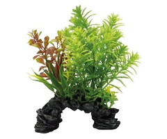 SuperFish SuperFish Deco Plant S Hottonia