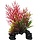 SuperFish Deco Plant S Ludwigia