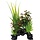 SuperFish Deco Plant S Rotala