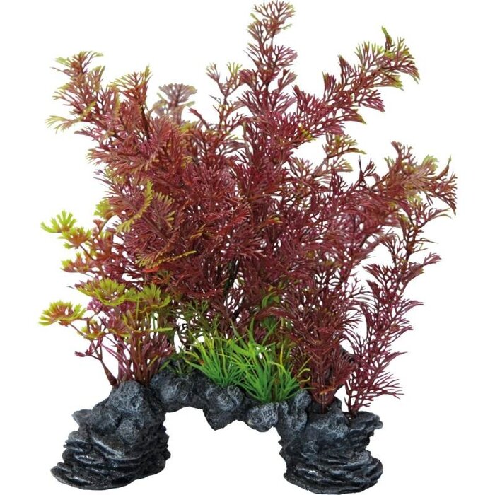 SuperFish SuperFish Deco Plant L Camomba Red