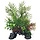 SuperFish Deco Plant L Ceratopteris