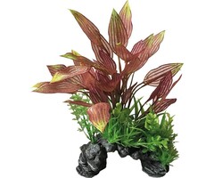 SuperFish SuperFish Deco Plant L Henkelianus