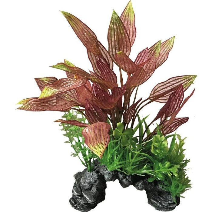 SuperFish SuperFish Deco Plant L Henkelianus