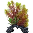 SuperFish SuperFish Deco Plant L Myriophyllum Red