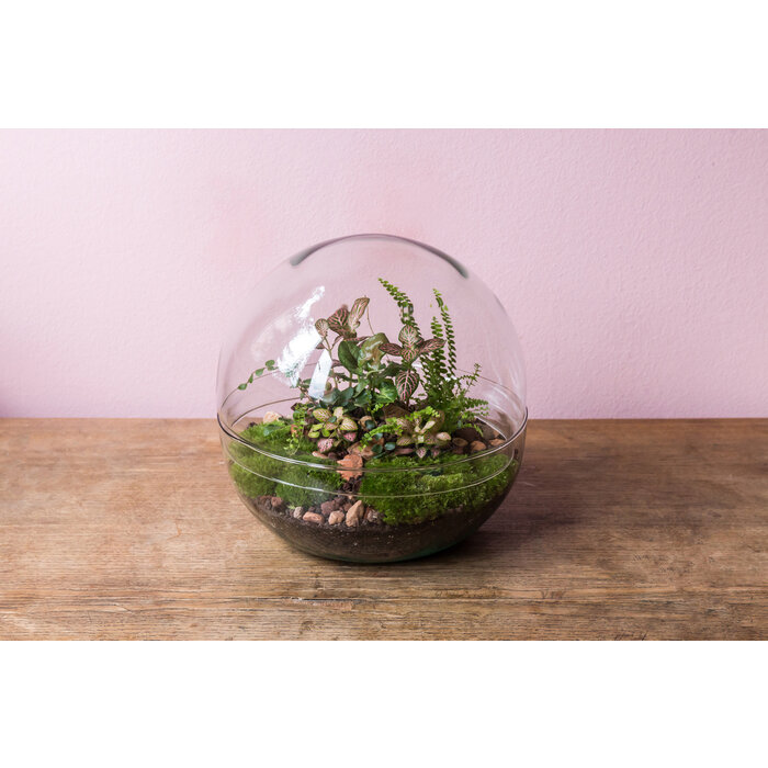 Onlineaquarium spullen Glazen bal 19,5cm