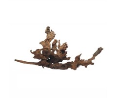 Wabi Kusa Wabi Kusa driftwood
