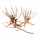 Wabi Kusa slim wood