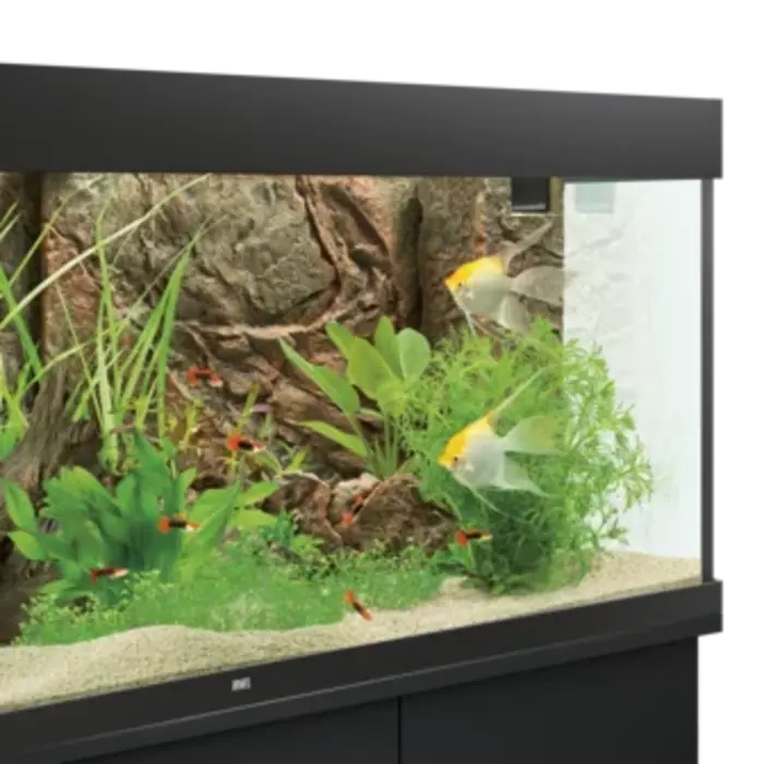 Juwel Juwel Rückwand Cliff Dark