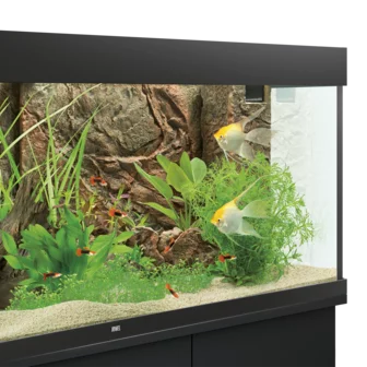 Juwel Juwel Achterwand Cliff Dark